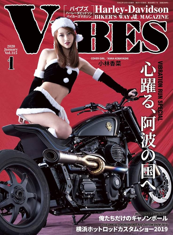 VIBES (バイブズ) 2020年1月号 (vol.315) | バイブズ編集部 |本